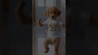 Dancing Dog Steals the Show 🕺🐶 dancechallenge trendingdance viraldance pettrend animalfun [upl. by Egiarc699]