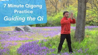 7 Minute Qigong Routine  Guiding the Qi through the Microcosmic Orbit with Jeffrey Chand [upl. by Natiha936]