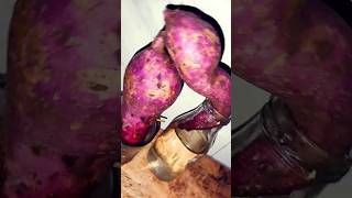 sweetpotato nature water grow plantशकरकंदhowtogrow sweetpotato [upl. by Sherr]