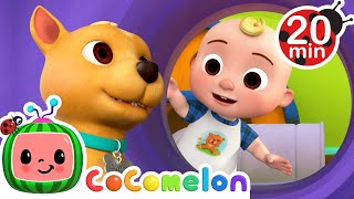 Puppy Party Bingo’s Big Day Out  Full Episode  Cocomelon Animals  Kids TV Shows Full Episodes [upl. by Estey]