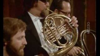 Mahlers 5th Symphony Corno obligatto Solo 1 [upl. by Nodnahs]