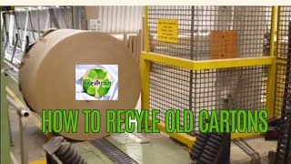 How Paper Recycling works [upl. by Dom]