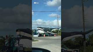 We found a Whale in Anegada BVI [upl. by Kubetz]