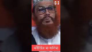 Nobijir kache ma halima । Allama saydee । islamic status। saidiwaz waz [upl. by Areht764]