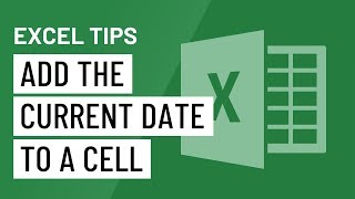 Excel Quick Tip Add the Current Date to a Cell [upl. by Latsyrc160]