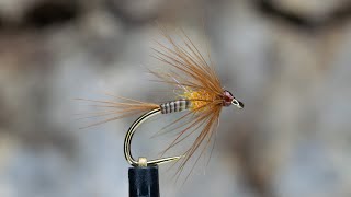 Quill Bodied Cruncher [upl. by Wenger]