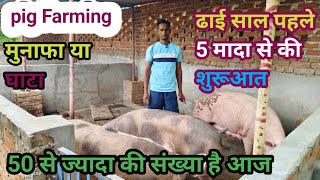 pig Farming। सुअर पालन कर के कमा रहे अच्छा मुनाफा।ubharatakisan pigfarminginindia suarpalan [upl. by Stromberg]