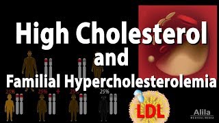 High Cholesterol and Familial Hypercholesterolemia Animation [upl. by Nyliram]