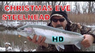 Christmas Eve Steelhead  Ellicott CREEK [upl. by Acsirp]