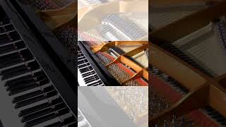 Have you ever tried a selfplaying piano [upl. by Analli]