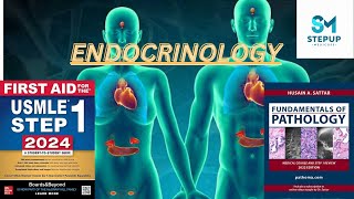 3Endocrine  Growth Hormone Physiology  First Aid USMLE Step 1  Urdu  Hindi [upl. by Capwell582]