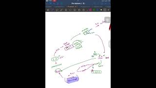 Lec 6 apicomplexa  sarcocystis [upl. by Jaeger896]