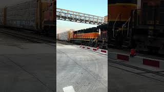 BNSF Manifest with GP60M3 [upl. by Paulina805]