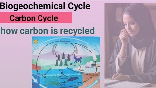 defination of biogeochemical cycle  what is carbon cycle  carbon dioxide recycling [upl. by Gun830]