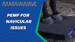 Equine Navicular Issues  MagnaWave [upl. by Afnin]