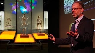 The Story of the Human Body  AMNH SciCafe [upl. by Jago267]