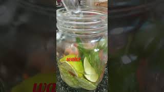 How to Make Alkaline Water at home shorts​ [upl. by Brest]