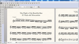 El vuelo del moscardón  The Flight of the BumbleBee [upl. by Cathryn]
