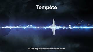 Reconstruire après la tempête  Podcast quotTempêtequot épisode 2 [upl. by Ahcsatan932]