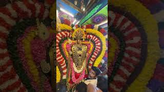 Pondicherry murugan 🙏 thirukalyanam trendingshorts trendingvideo trending trend love song [upl. by Eidnac]