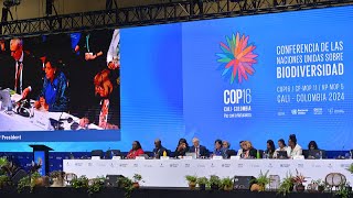 La Colombie succède à la Chine à la présidence tournante de la COP16 sur la biodiversité [upl. by Clarisse478]