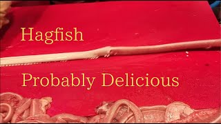 【Hagfish】Probably Delicious [upl. by Ayihsa]