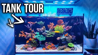 Reef Tank Coral Tour and Tank Update  Red Sea Reefer 250 [upl. by Ttennaj264]