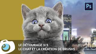 Photoshop  Détourer des poils avec un chaton tout mignon  F14 S06E31 [upl. by Cullin]