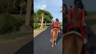 puertorico horsebackadventures ridinghorses [upl. by Thorman500]