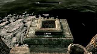 Building Lakeview Manor Falkreath House  Skyrim Anniversary Edition [upl. by Shore956]