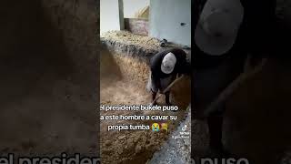 miren lo que le hases bukele alos ladrones en el salvadorviral viralvideo paratiiiiiii noticias [upl. by Nodnerb]