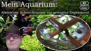 Abenteuer Schneckenvase ein gewagtes Experiment  Mein Aquarium 42 [upl. by Suirtemed]