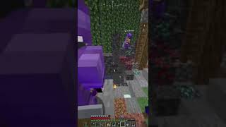 proximity chat in a realm is so fun [upl. by Donelle367]