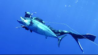 DOGTOOTH TUNA Spearfishing [upl. by Suzan]