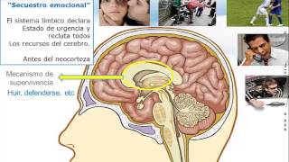 Inteligencia emocional video curso charla conferencia previo [upl. by Nitreb677]