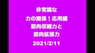 【さとう式リンパケア】筋肉の収縮力と連動 筋肉の引き寄せる力と押し出す力！ [upl. by Annoet]