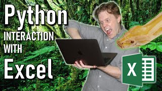 Python Tutorial  Using Python to Interact with Excel [upl. by Gayla940]