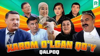 Qalpoq  Xarom olgan qoy hajviy korsatuv [upl. by Balling]