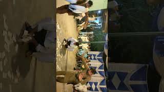 Hazara dance dhol enjoy [upl. by Rosenbaum]