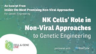 NK Cells’ Role in NonViral Approaches to Genetic Engineering [upl. by Brezin261]