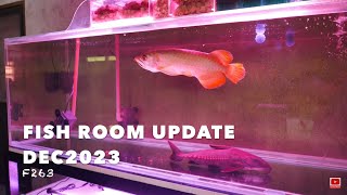 Update On All Of My Fish f263 [upl. by Crellen]