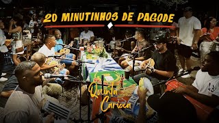 20 MINUTINHOS DE PAGODE ORIGINAL SEM AGROTÓXICOS 🤪😜 [upl. by Laenaj]