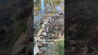 fallfish octobervibes shortvideo fishinggear earthoutdoors respectnature fishingequipment [upl. by Trotta]