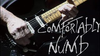 Dave Gilmour  Comfortably Numb Live Gdansk [upl. by Valtin]