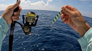 Multi Species Bottom Fishing Morehead City Lobster on Hook and Line [upl. by Gilson838]