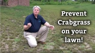 Crabgrass Control Tips  Expert Lawn Care Advice [upl. by Sandstrom947]