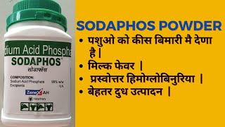 Sodaphos Powder Veterinary uses in hindi  Sodium Acid phosphate  Benefits and Dosage for cattles [upl. by Adiaz]