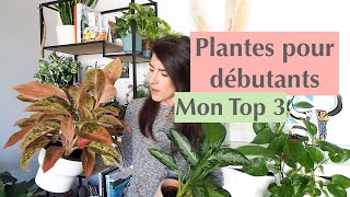 3 Plantes dintérieur pour débutants [upl. by Tiffi]