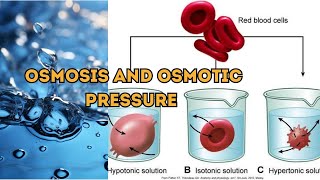 Osmosis  Osmotic pressure or oncotic pressure  Osmosis OsmoticPressure Science [upl. by Annauqal664]