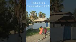 Hammamet Tunesien November 2024 [upl. by Allimrac]